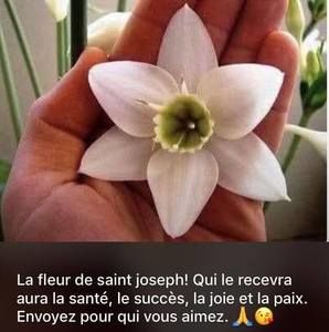 Meet your Posher, Elmanus